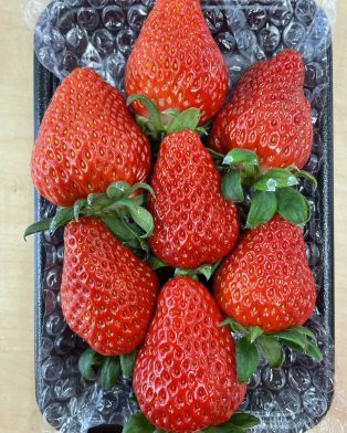 🍓年末年始のご案内🍓