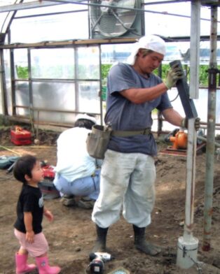 二番果大きくなっています。　