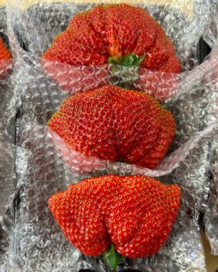 価格変更致します🍓