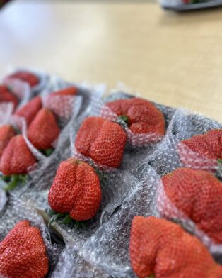 生いちごデザート始まります🍓
