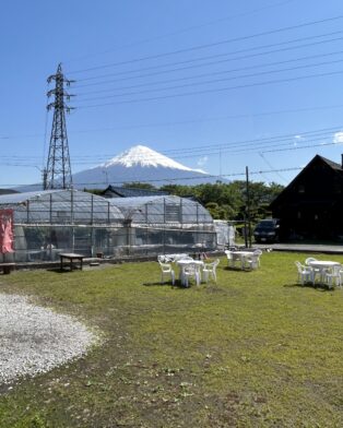 富士山が真っ白に…。