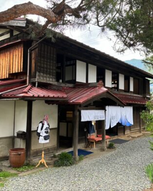 始まった苗づくり！