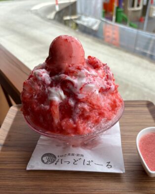 🍓かき氷始めます🍓