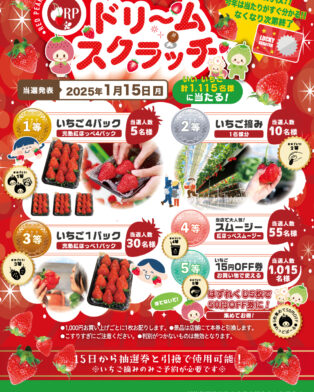 れっどぱーるドリームスクラッチ当選発表
