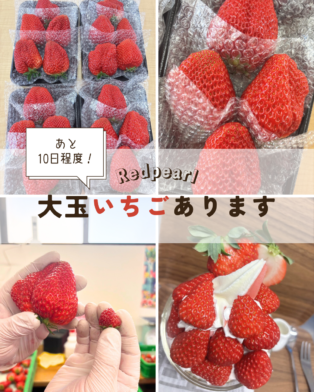 2月最後の週末！！！
