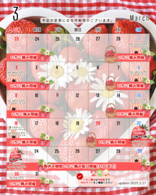 2025年3月1日・2日のれっどぱーる