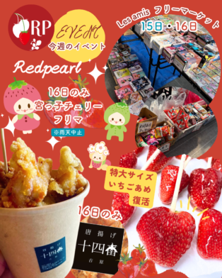 3月15日16日のれっどぱーる