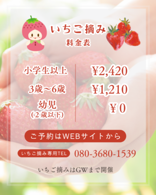 いちご摘みの料金と販売車4号車(キッチンカー)完成