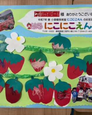 苺つくり３０年！！