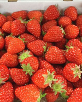 期間限定　いちごの配達🍓