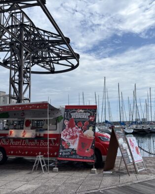 17日まで　清水ドリームプラザ🚢出店