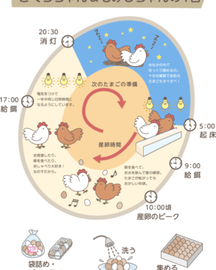 本日の御殿場販売は、中止です