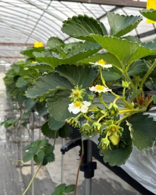 自分の幸せって？？？　