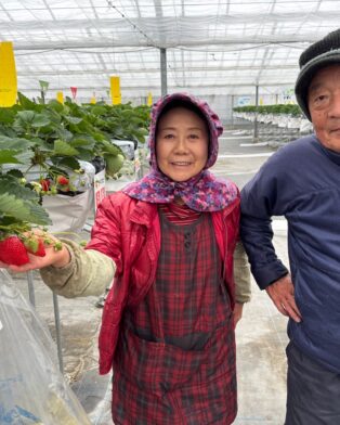 いよいよ12月20日土曜日より、生いちごの販売開始です。