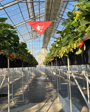 本日の営業時間14時まで