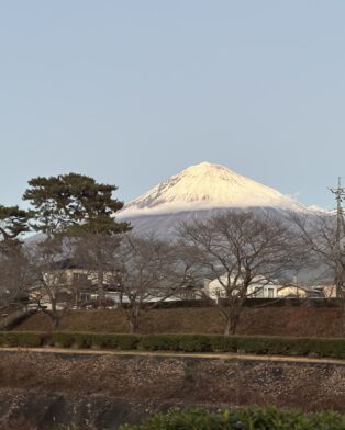 今季のオンライン早期予約&オンラインショップについて