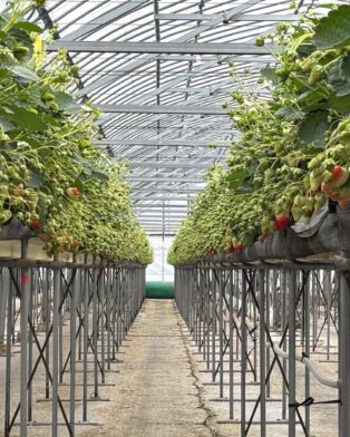 明日は定休日です