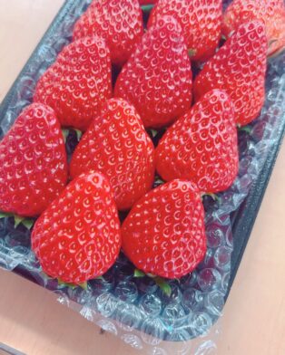 2月4日は定休日です。