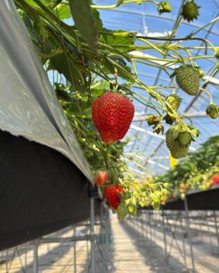 本日25日は定休日です