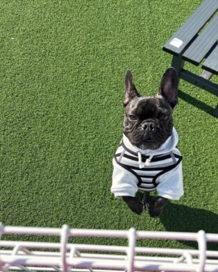 私の好きな季節！！