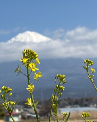 出会いと別れの季節！！