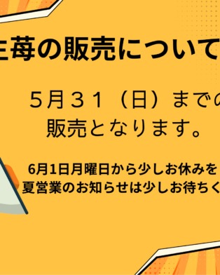 一気に夏！！
