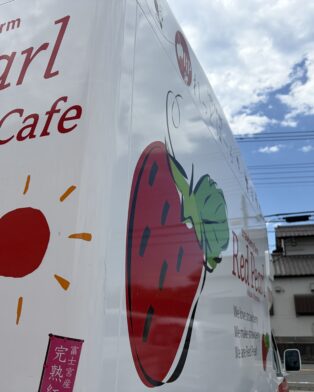 今週の店舗営業時間と臨時休業