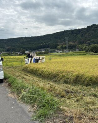 秋の風景！！
